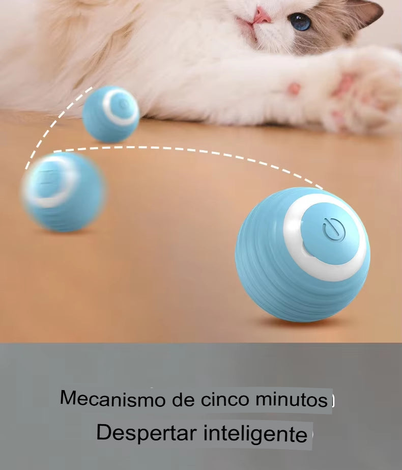 Bola Mágica Interativa para Pets - Brinquedinho Super Divertido para o seu Animalzinho - News™