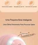 Bola Mágica Interativa para Pets - Brinquedinho Super Divertido para o seu Animalzinho